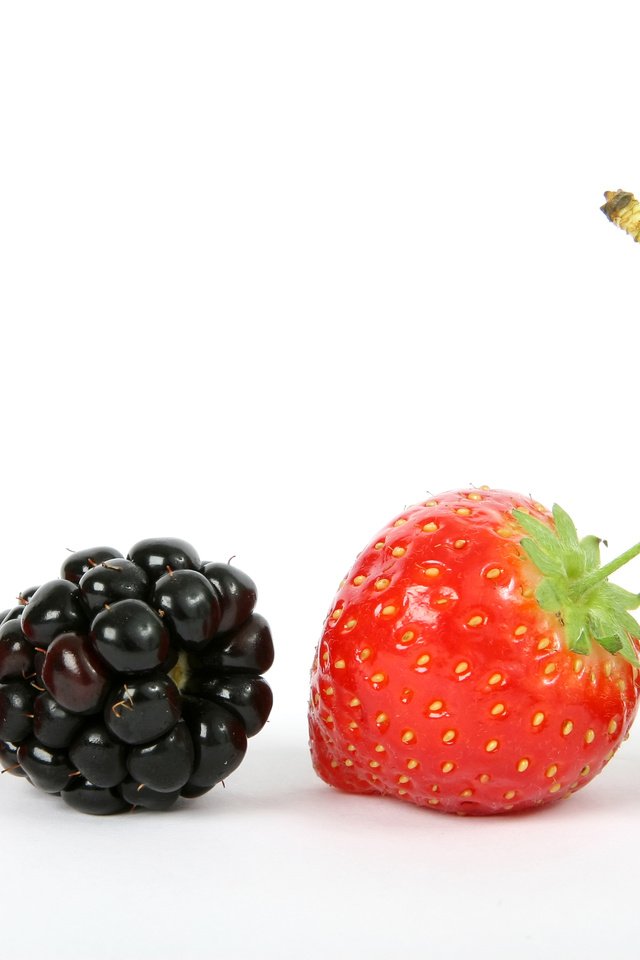Обои малина, клубника, ягоды, вишня, ежевика, raspberry, strawberry, berries, cherry, blackberry разрешение 3376x2336 Загрузить