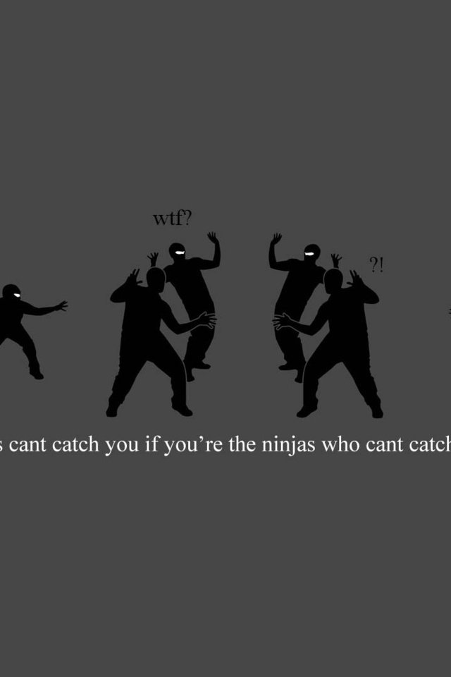 Обои ты, ninjas, can't, улов, you, catch разрешение 1920x1080 Загрузить