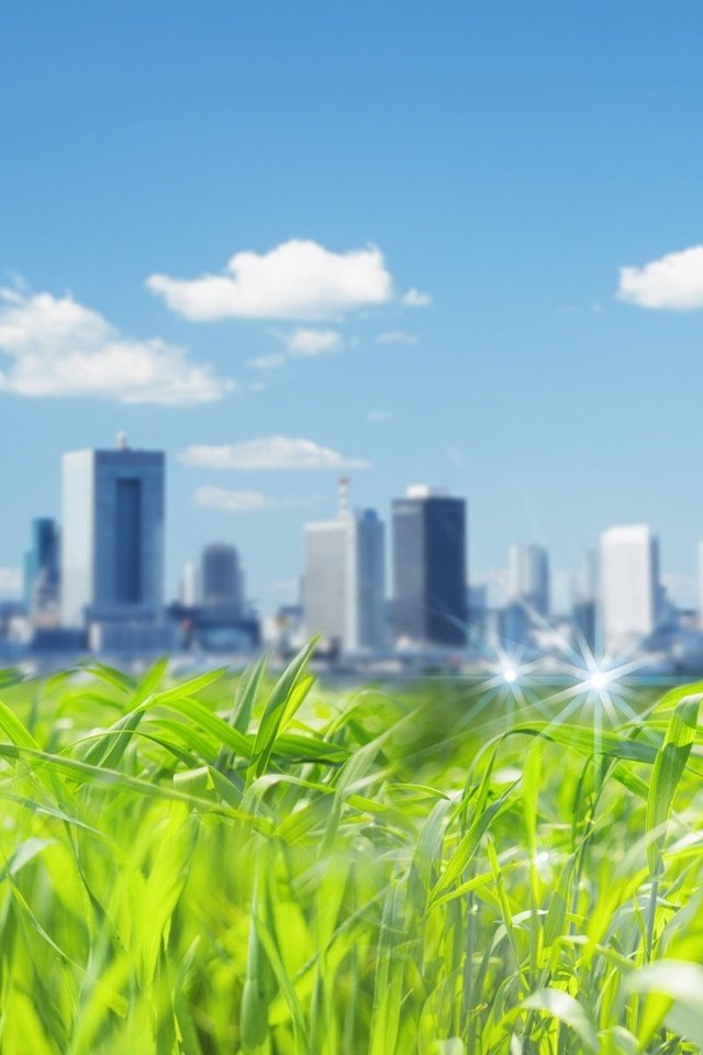 Обои трава, город, небоскребы, grass, the city, skyscrapers разрешение 1920x1200 Загрузить
