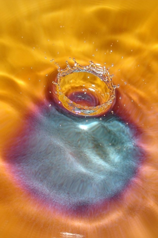 Обои вода, капля, оранжевый, water, drop, orange разрешение 2560x1600 Загрузить