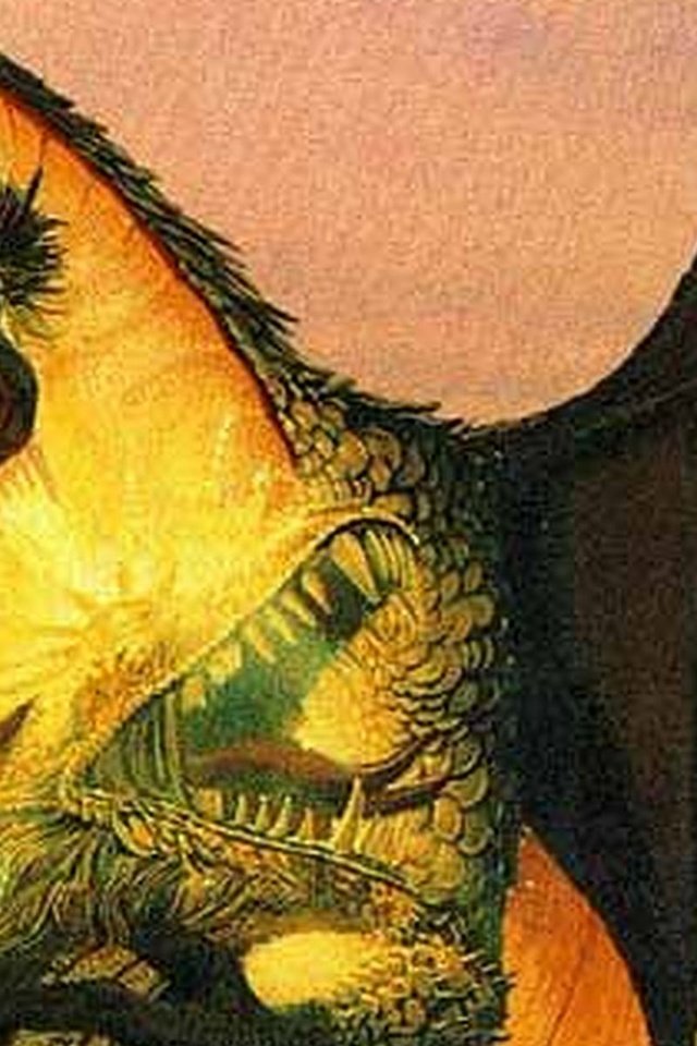 Обои дракон, огнедышащий, dragon, fire-breathing разрешение 1920x1200 Загрузить
