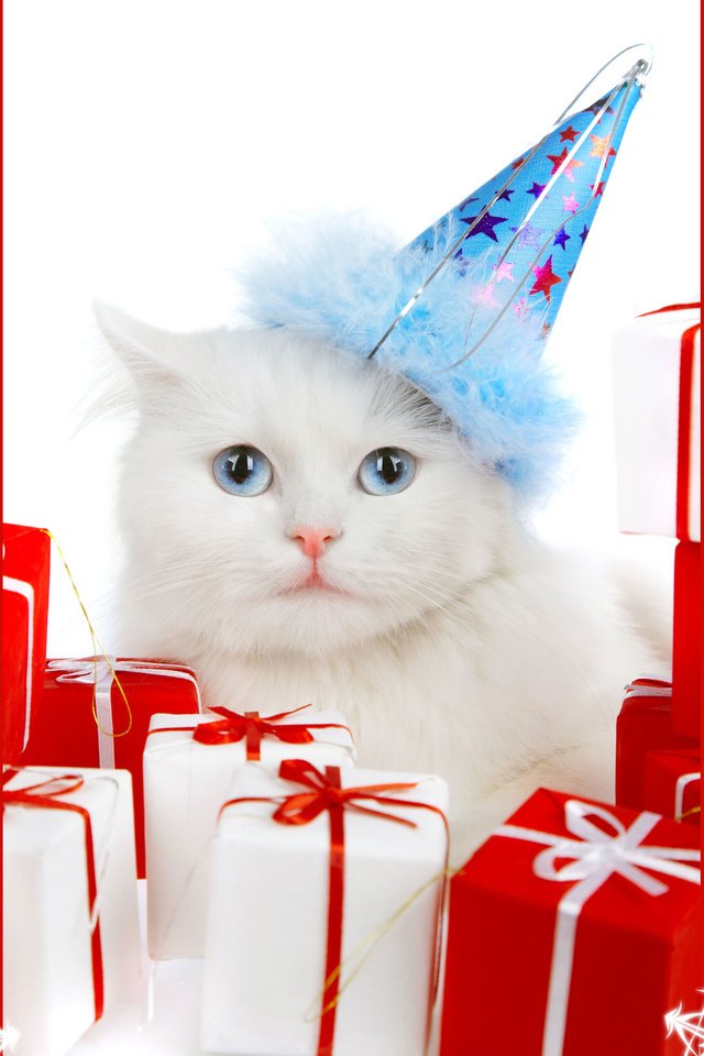Обои новый год, подарки, снежинка, с новым годом, new year, gifts, snowflake, happy new year разрешение 2560x1600 Загрузить