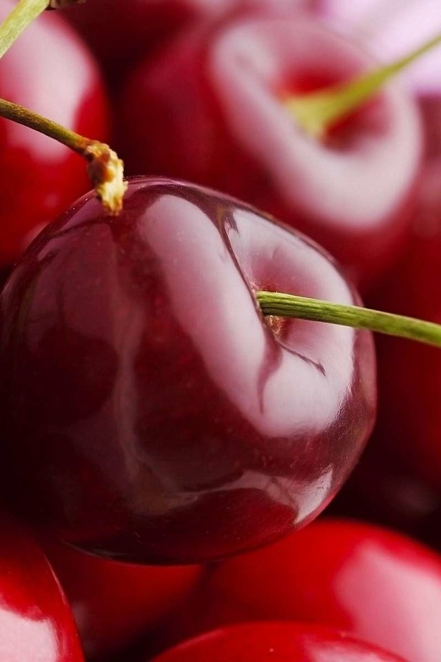 Обои черешня, ягоды, вишня, ок, cherry, berries, ok разрешение 1920x1200 Загрузить