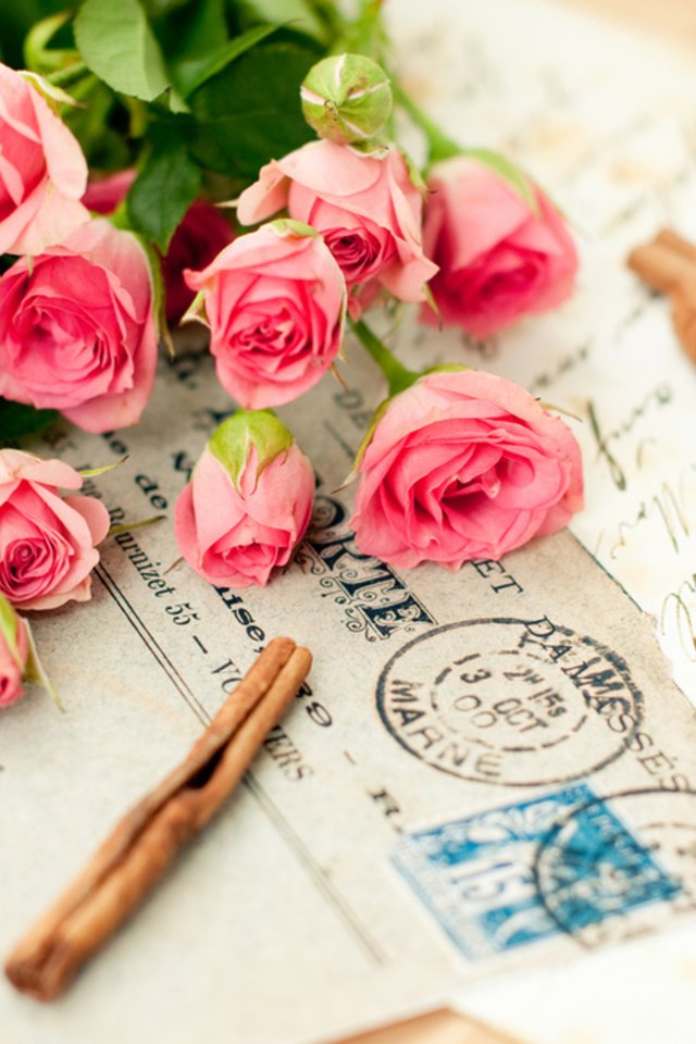 Обои cvety, rozovyj, cvetok, rozy, buket, bukety, pismo разрешение 1920x1260 Загрузить