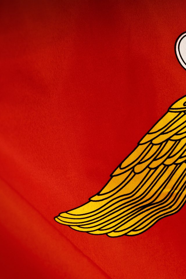 Обои желтый, красный, орел, флаг, yellow, red, eagle, flag разрешение 2560x1600 Загрузить