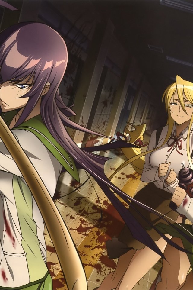 Обои highschool of the dead, sayeko busudzima, saya разрешение 3291x2388 Загрузить