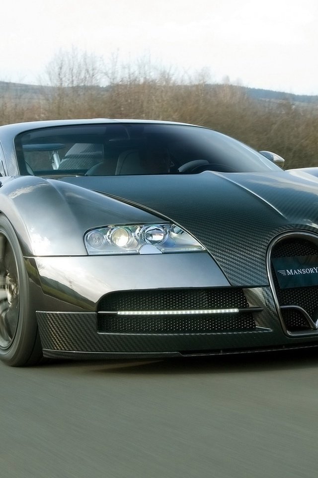 Обои бугатти, металлик, лорога, bugatti, metallic, lorega разрешение 1920x1200 Загрузить