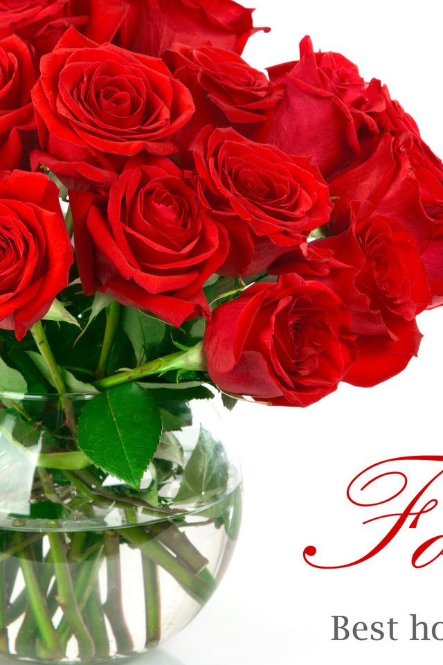 Обои цветы, розы, красные, букет, ваза, flowers, roses, red, bouquet, vase разрешение 2560x1440 Загрузить