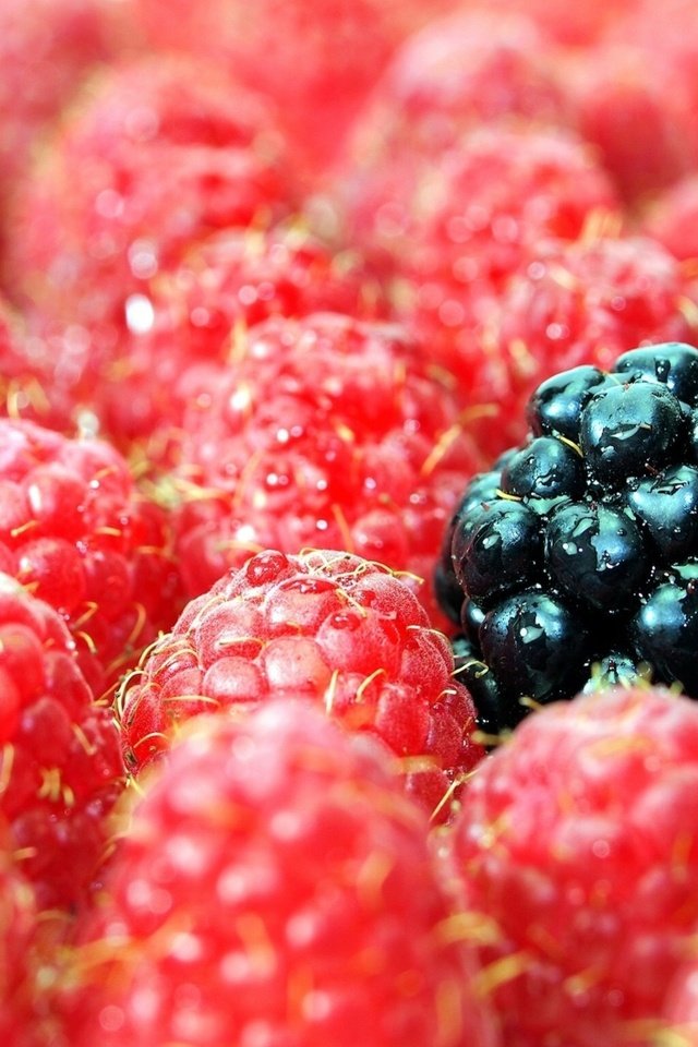 Обои макро, малина, ягоды, ежевика, macro, raspberry, berries, blackberry разрешение 1920x1440 Загрузить