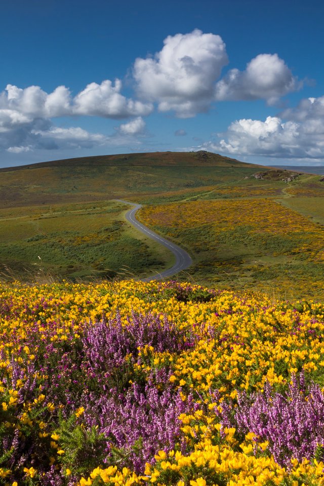 Обои небо, дорога, цветы, облака, горы, the sky, road, flowers, clouds, mountains разрешение 2048x1365 Загрузить