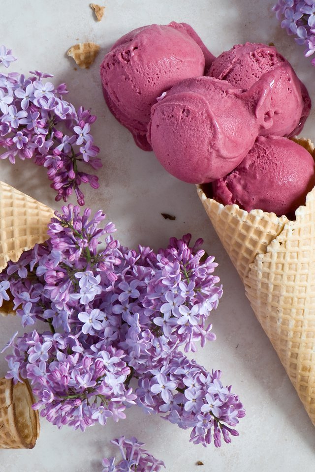 Обои мороженое, сирень, вафли, ice cream, lilac, waffles разрешение 2000x1419 Загрузить