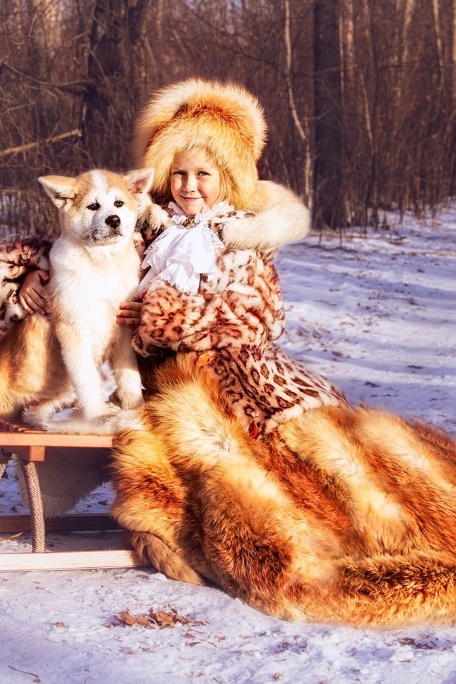 Обои зима, собака, сани, девочка, шапка, шуба, winter, dog, sleigh, girl, hat, coat разрешение 1920x1229 Загрузить