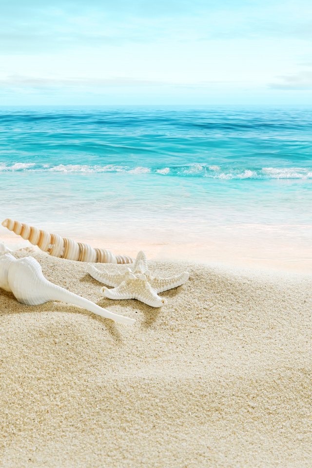 Обои берег, песка, seashells, море, летнее, песок, пляж, ракушки, голубая, морская звезда, рай, shore, sea, summer, sand, beach, shell, blue, starfish, paradise разрешение 5148x3439 Загрузить