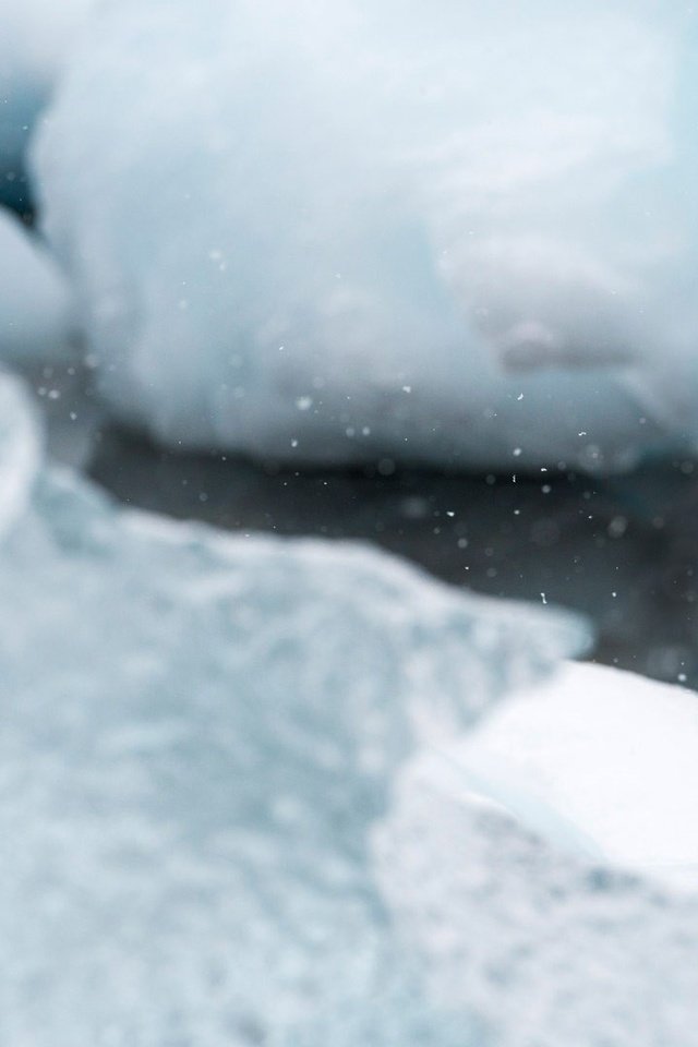 Обои антарктида, снег, природа, лёд, птицы, птица, клюв, остров, пингвин, antarctica, snow, nature, ice, birds, bird, beak, island, penguin разрешение 1920x1080 Загрузить