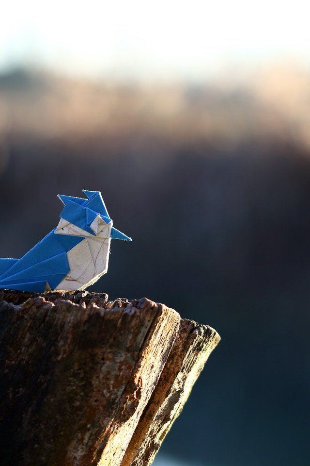 Обои бумага, птица, оригами, crested kingfisher, paper, bird, origami разрешение 2560x1707 Загрузить