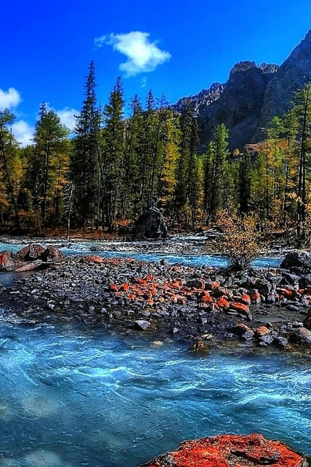 Обои деревья, stream mountain, fresh water, вода, rapids, река, горы, природа, камни, поток, бег, trees, water, river, mountains, nature, stones, stream, running разрешение 1920x1200 Загрузить