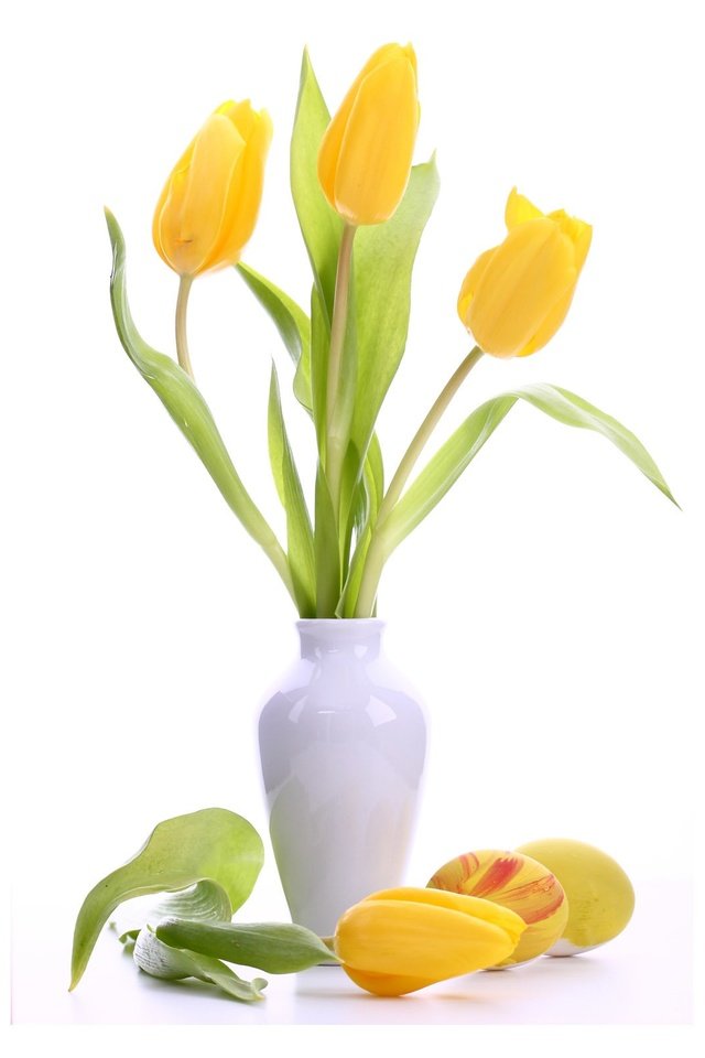 Обои цветы, букет, тюльпаны, белый фон, ваза, пасха, яйца, крашенки, flowers, bouquet, tulips, white background, vase, easter, eggs разрешение 2560x1600 Загрузить