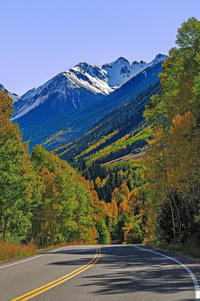 Обои дорога, деревья, горы, осень, сша, колорадо, лайзард хед пасс, road, trees, mountains, autumn, usa, colorado, lizard head pass разрешение 2048x1201 Загрузить