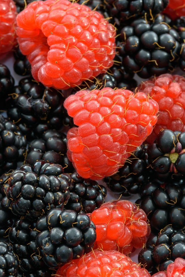 Обои макро, малина, ягоды, ежевика, macro, raspberry, berries, blackberry разрешение 3840x2160 Загрузить