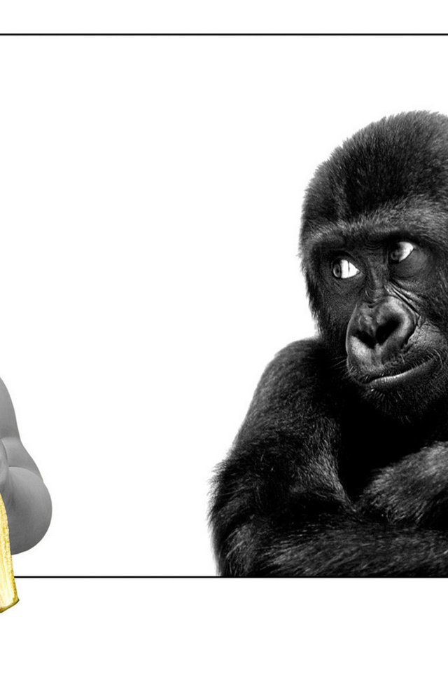 Обои ребенок, обезьяна, банан, child, monkey, banana разрешение 2560x1600 Загрузить