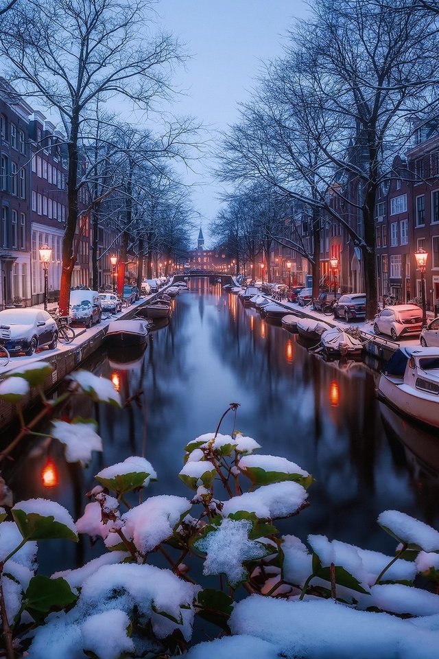 Обои свет, огни, снег, зима, утро, канал, амстердам, light, lights, snow, winter, morning, channel, amsterdam разрешение 1920x1280 Загрузить