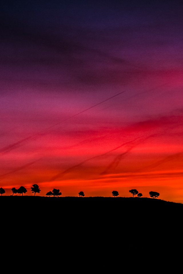 Обои небо, деревья, закат, горизонт, силуэт, the sky, trees, sunset, horizon, silhouette разрешение 4608x3072 Загрузить