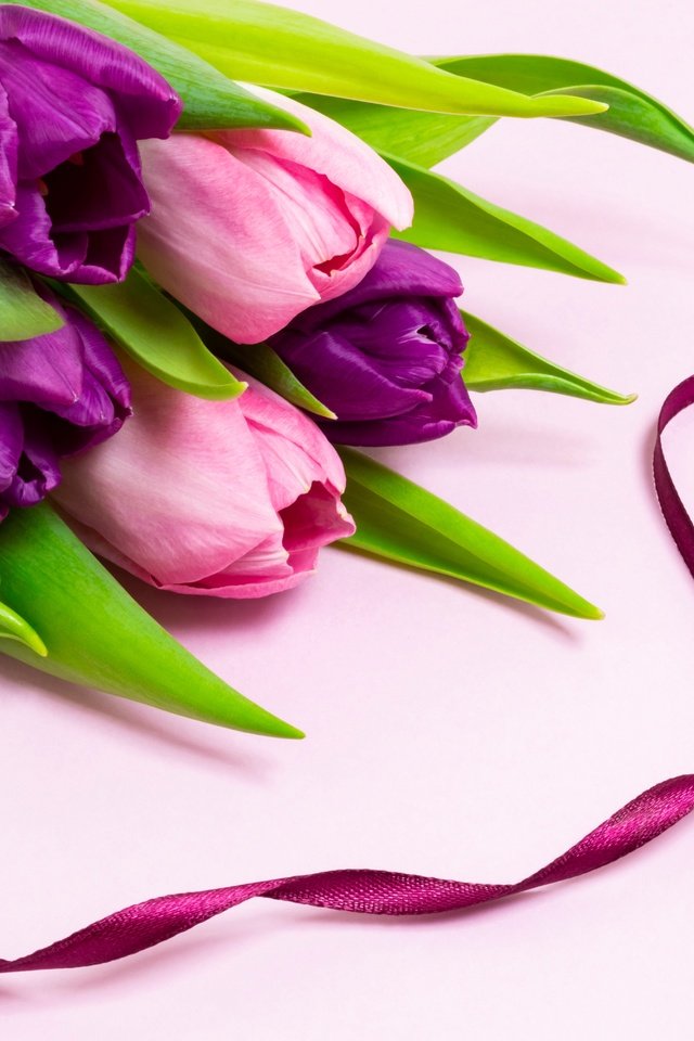 Обои цветы, сердце, букет, тюльпаны, лента, flowers, heart, bouquet, tulips, tape разрешение 6016x4000 Загрузить