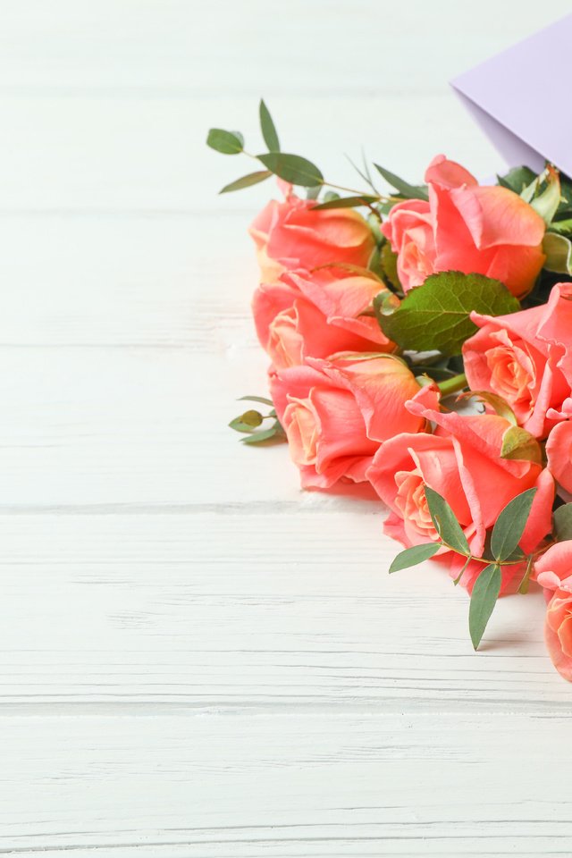 Обои цветы, бутоны, розы, лепестки, букет, пакет, flowers, buds, roses, petals, bouquet, package разрешение 6720x4480 Загрузить