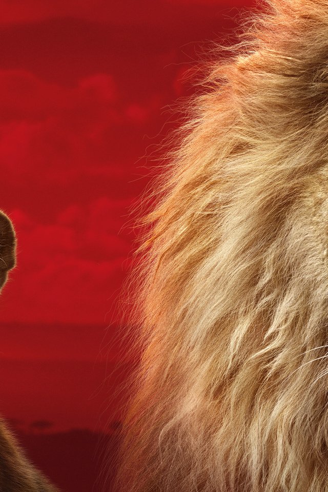 Обои король лев, the lion king разрешение 5120x2880 Загрузить