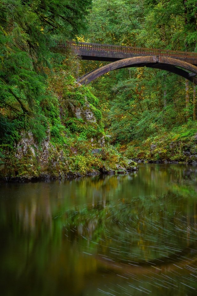 Обои природа, мост, nature, bridge разрешение 3840x2160 Загрузить