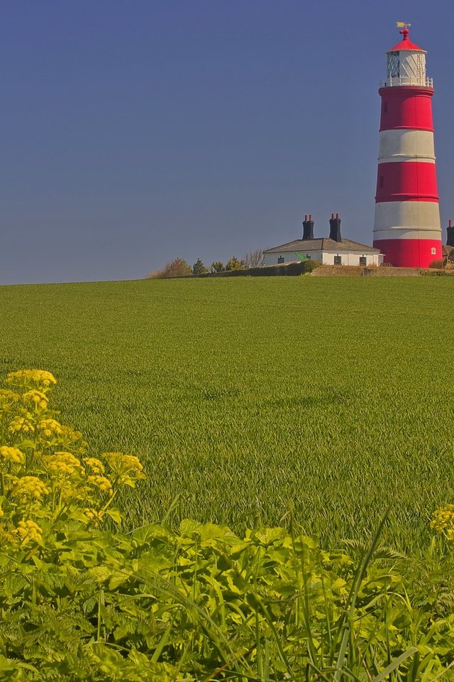 Обои поле, маяк, дом, англия, field, lighthouse, house, england разрешение 3072x2048 Загрузить