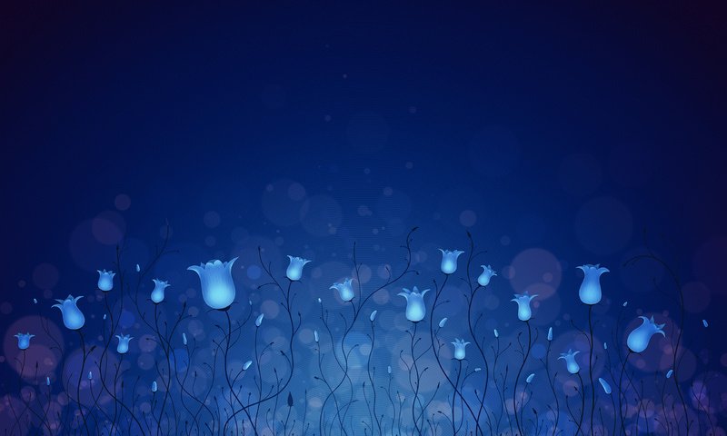 Обои цветы, синий, колокольчики, flowers, blue, bells разрешение 2560x1600 Загрузить