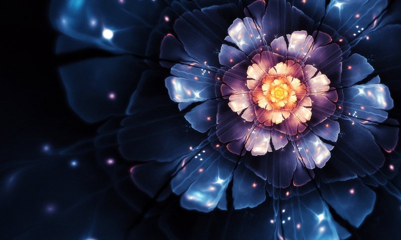 Обои цветок, лепестки, фракталы, графика, черный фон, the scent of the night, фрактал, 3д, flower, petals, fractals, graphics, black background, fractal, 3d разрешение 1920x1200 Загрузить