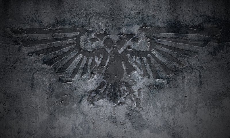 Обои стена, орел, знак, бетон, wall, eagle, sign, concrete разрешение 1920x1200 Загрузить