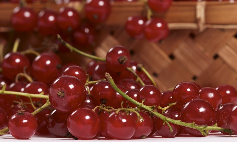 Обои макро, еда, ягоды, красная смородина, смородина, macro, food, berries, red currant, currants разрешение 2560x1600 Загрузить