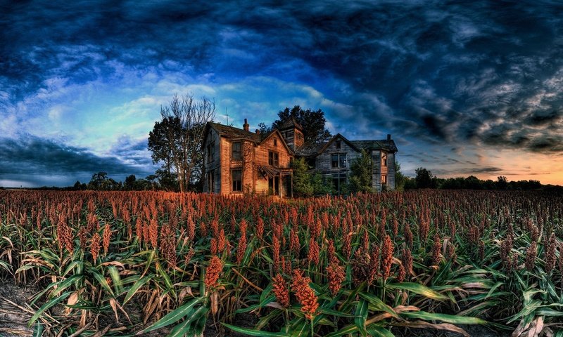 Обои облака, поле, дом, развалены, clouds, field, house, collapsed разрешение 2560x1600 Загрузить