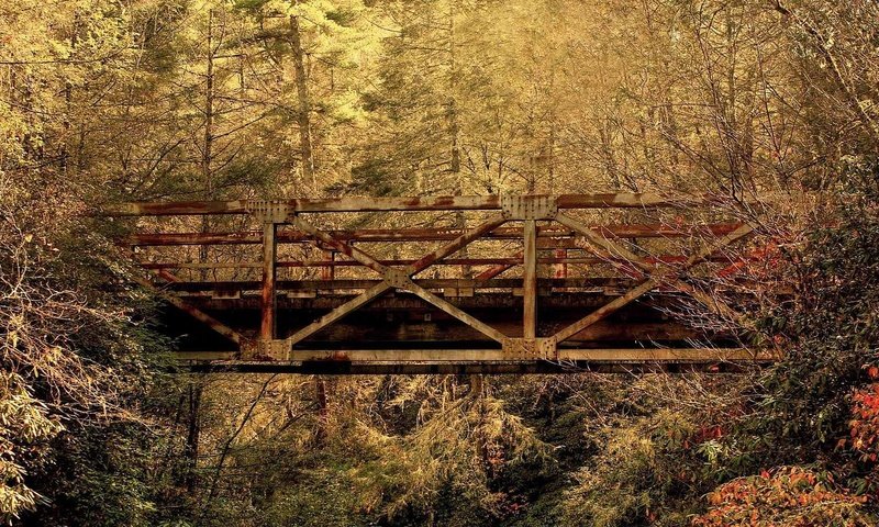 Обои лес, листья, мост, осень, южная каролина, forest, leaves, bridge, autumn, south carolina разрешение 1920x1080 Загрузить