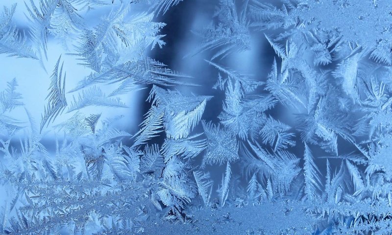 Обои зима, мороз, иней, узоры, стекло, winter, frost, patterns, glass разрешение 1920x1200 Загрузить
