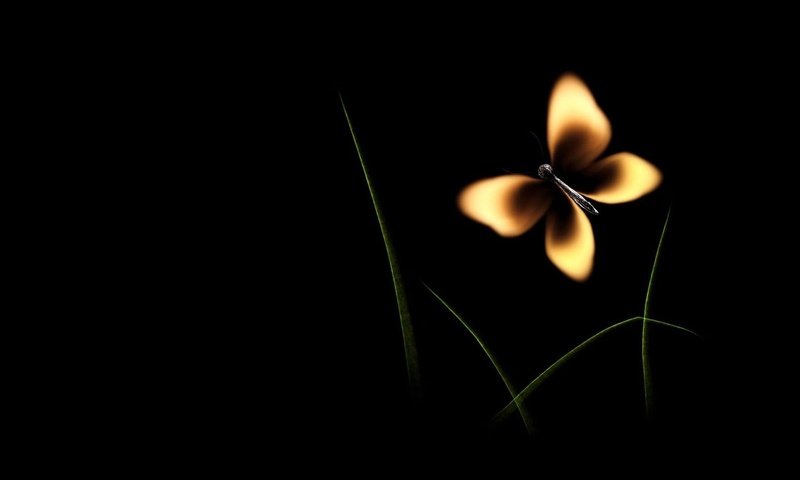 Обои бабочка, огонь, минимализм, черный фон, спичка, butterfly, fire, minimalism, black background, match разрешение 1920x1080 Загрузить