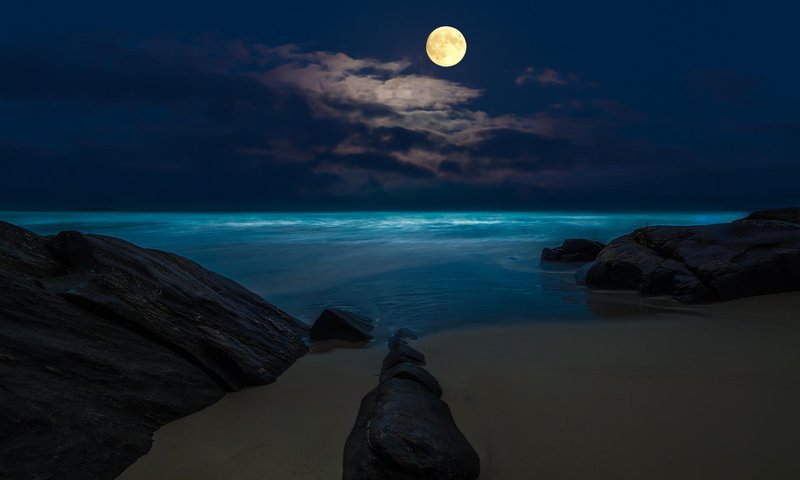 Обои ночь, море, пляж, луна, полнолуние, night, sea, beach, the moon, the full moon разрешение 1920x1200 Загрузить