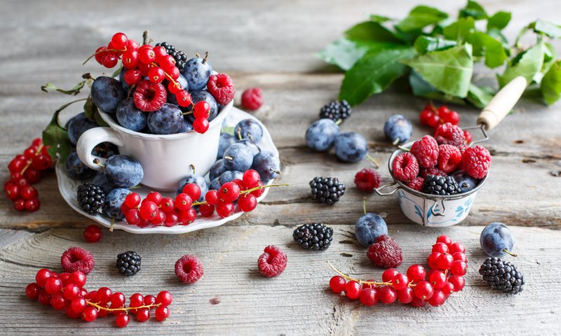 Обои малина, ягоды, красная смородина, ежевика, сливы, anna verdina, raspberry, berries, red currant, blackberry, plum разрешение 2000x1240 Загрузить