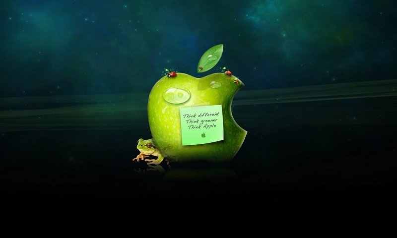 Обои капли, лягушка, яблоко, стикер, эппл, drops, frog, apple, sticker разрешение 2560x1600 Загрузить