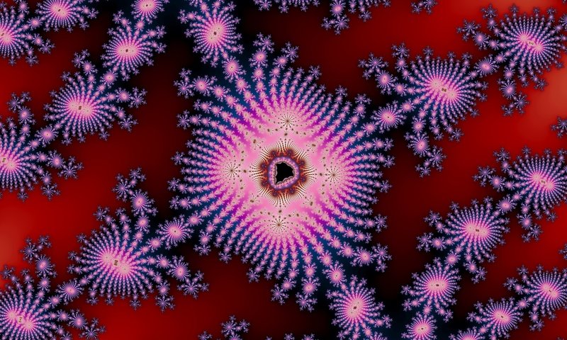 Обои абстракция, фон, цветок, узор, цвет, фрактал, 3д, abstraction, background, flower, pattern, color, fractal, 3d разрешение 1920x1200 Загрузить