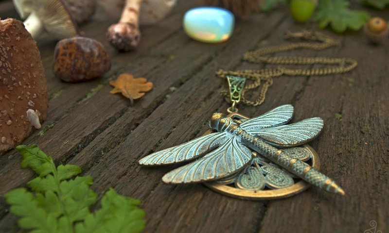 Обои стрекоза, кулон, украшение, dragonfly, pendant, decoration разрешение 2048x1371 Загрузить