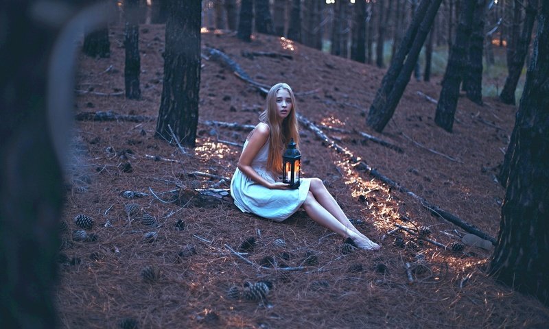 Обои лес, девушка, фонарь, свеча, forest, girl, lantern, candle разрешение 2880x1920 Загрузить