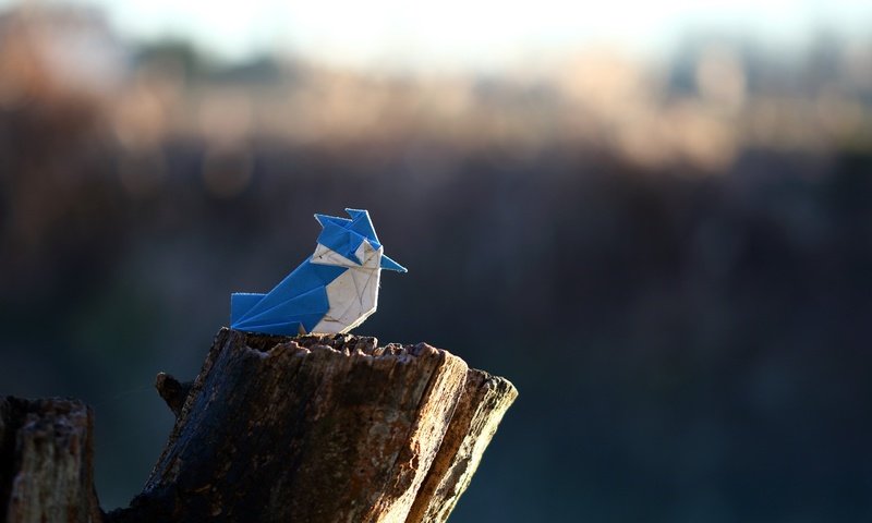 Обои бумага, птица, оригами, crested kingfisher, paper, bird, origami разрешение 2560x1707 Загрузить