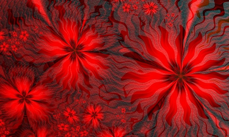 Обои цветы, линии, фон, узор, лепестки, цвет, красный, flowers, line, background, pattern, petals, color, red разрешение 1920x1080 Загрузить