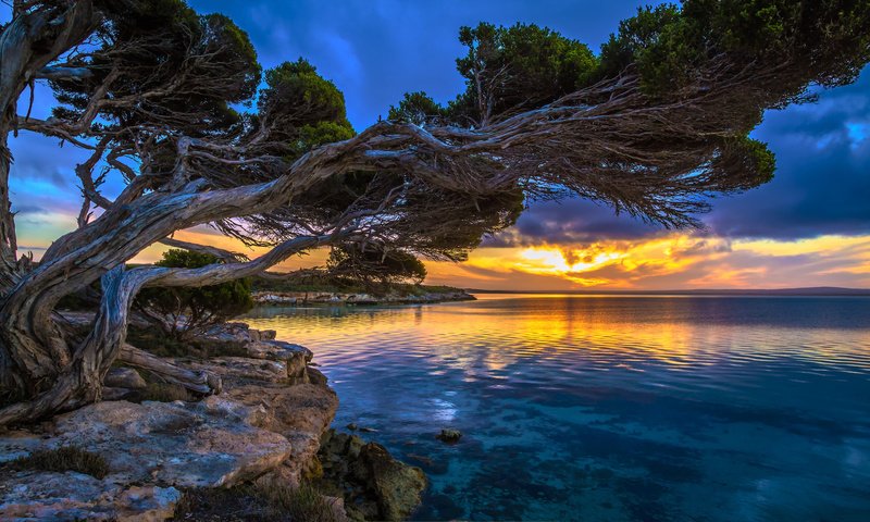 Обои облака, деревья, солнце, закат, тучи, море, пляж, clouds, trees, the sun, sunset, sea, beach разрешение 2048x1216 Загрузить