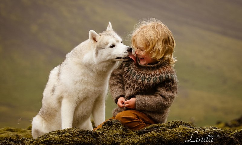 Обои собака, мальчик, хаски, исландия, дружба, друзья, dog, boy, husky, iceland, friendship, friends разрешение 1920x1200 Загрузить