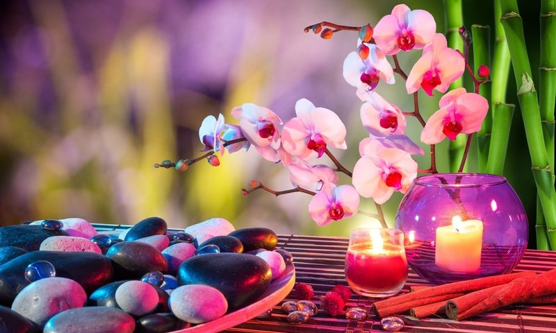 Обои цветы, свечи, камни, корица, бамбук, спа, орхидеи, flowers, candles, stones, cinnamon, bamboo, spa, orchids разрешение 2560x1600 Загрузить